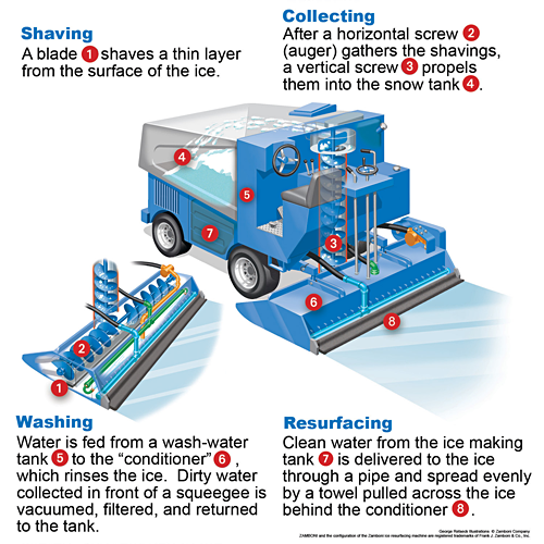 Zamboni Diagram