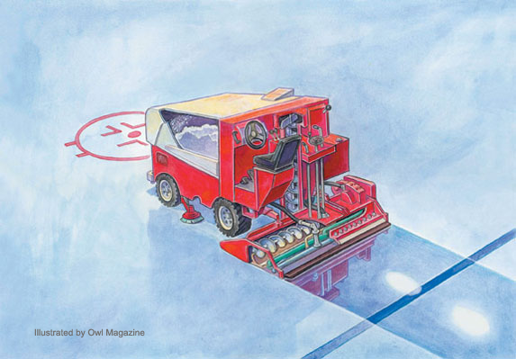 zamboni driver clip art